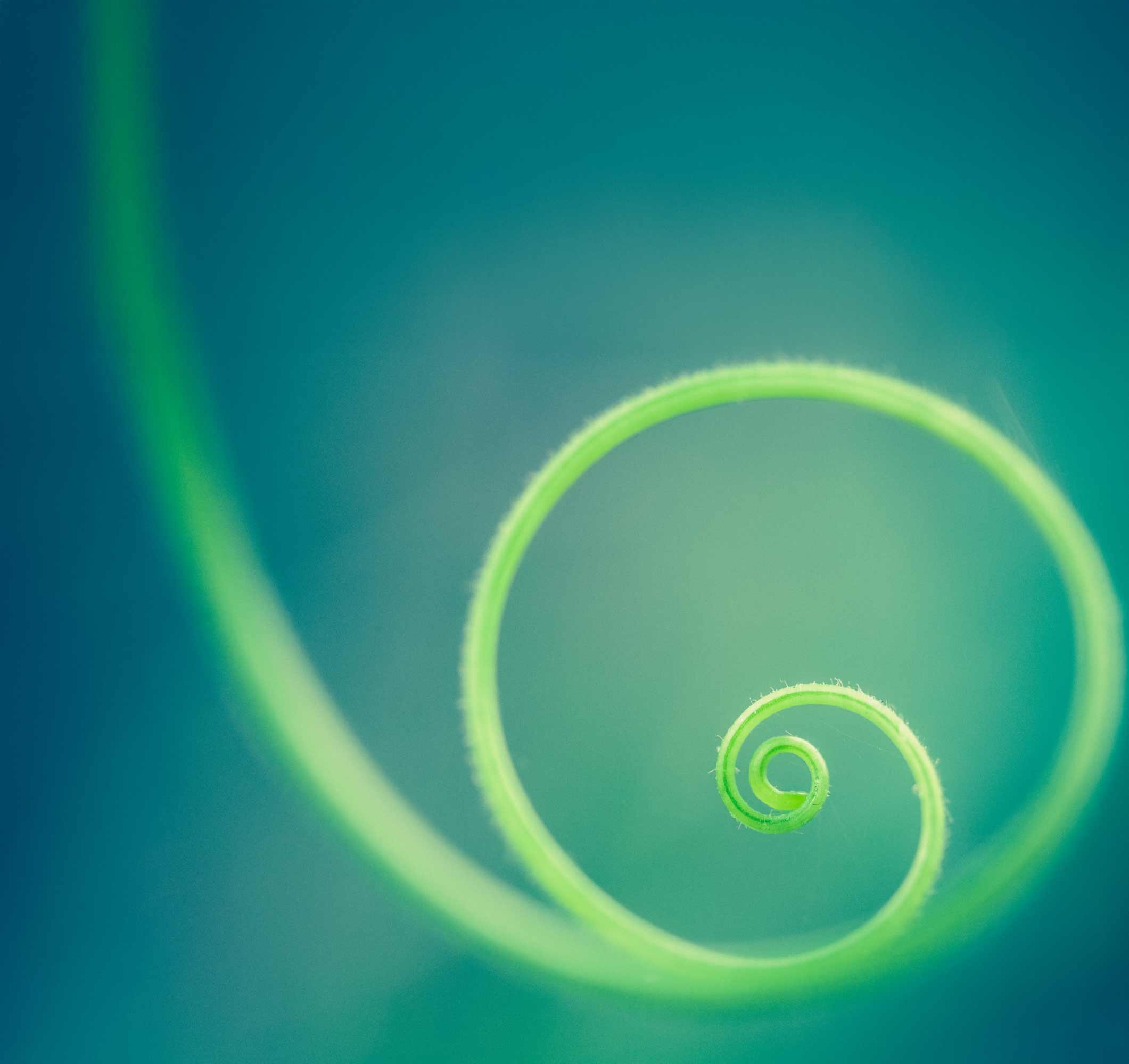 Küresel Rapor: Sürdürülebilirliği Ölçeklendirmek