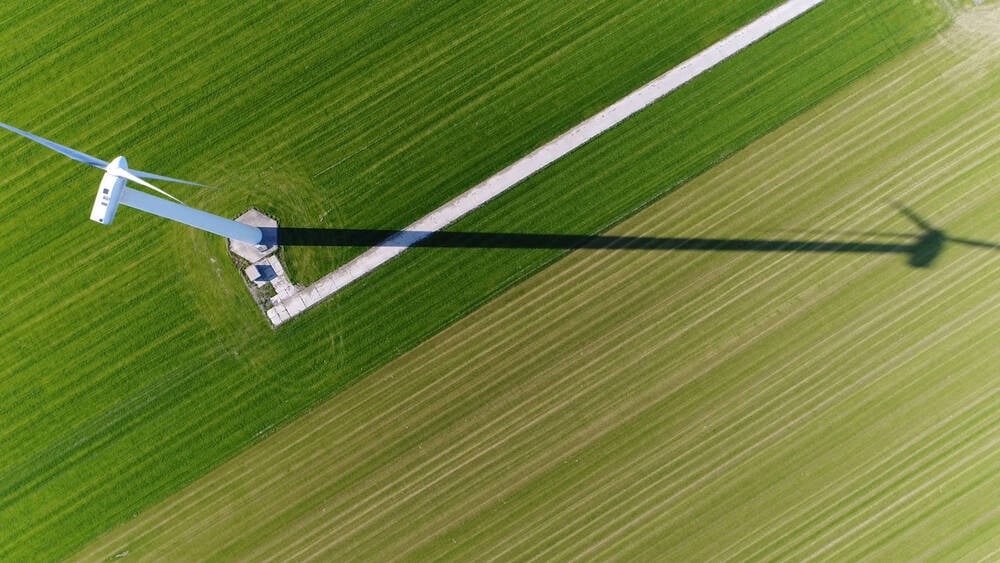 insight featured image