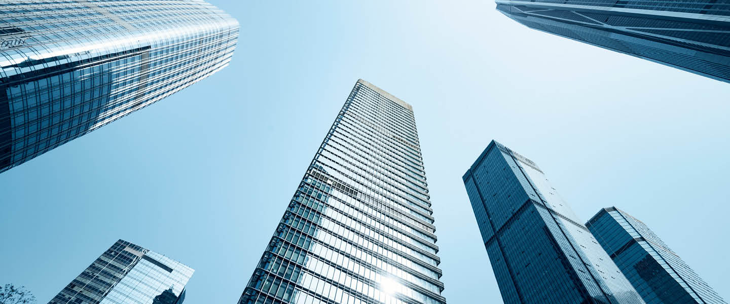 Danışmanlık Hizmetleri