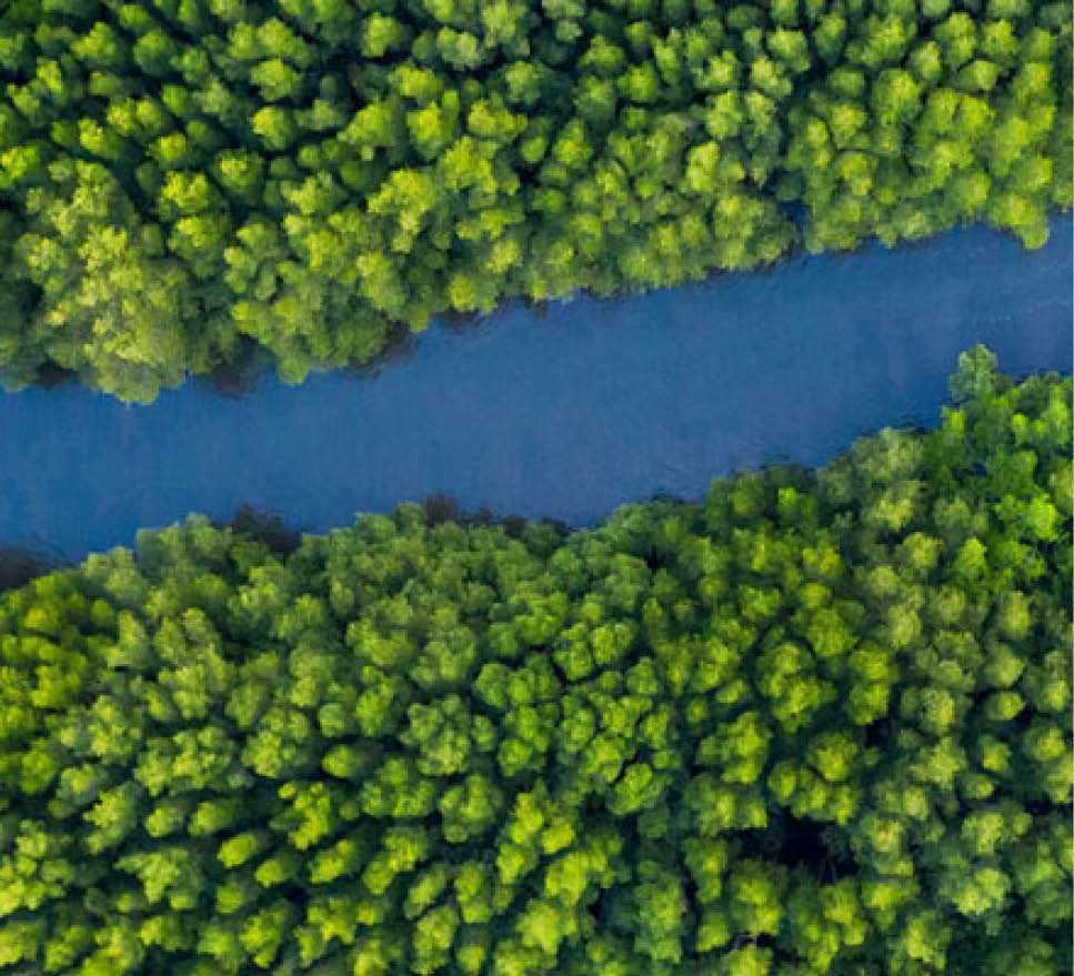 Sürdürülebilirliği Ölçeklendirmek: Orta Ölçekli Şirketler Büyümeyi Geleceğe Nasıl Taşıyor?