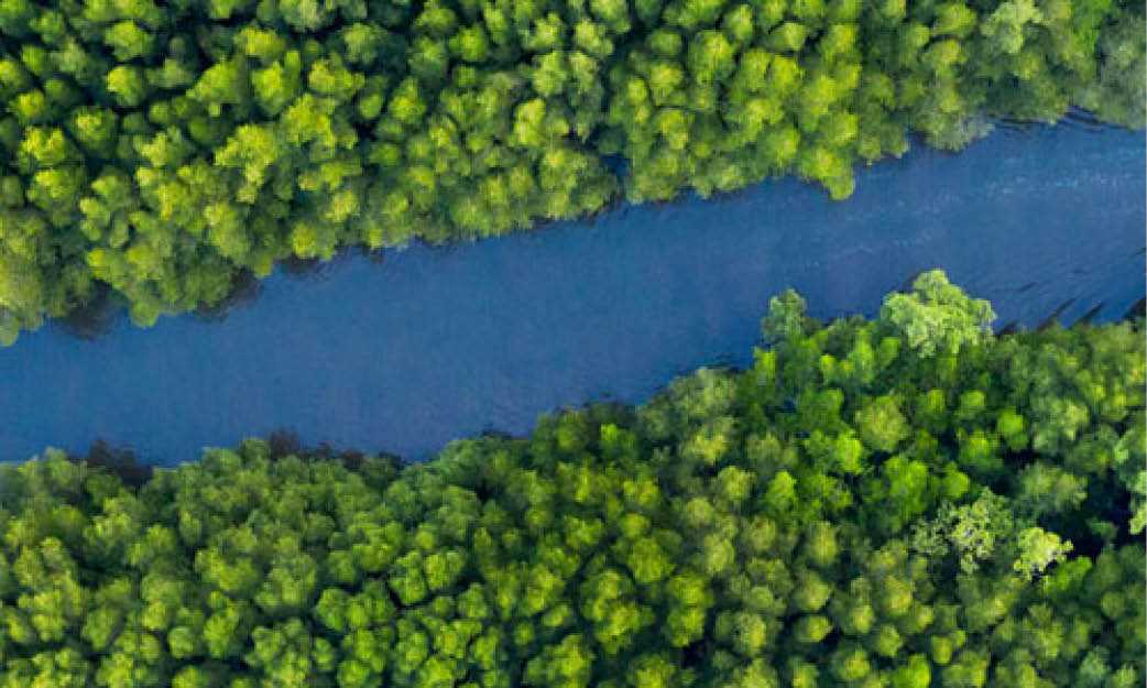 Türkiye Sürdürülebilirlik Raporlama Standartlarının İlk Uygulama Dönemi: Genel Değerlendirme ve Geleceğe Yönelik Beklentiler