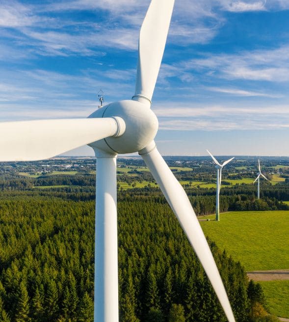 Sürdürülebilirlik Yatırımlarına Bakış: Türk İş dünyasından Değerlendirmeler